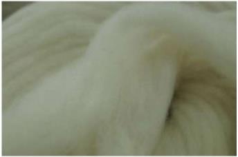 Fred Textile Top Dyeing production base