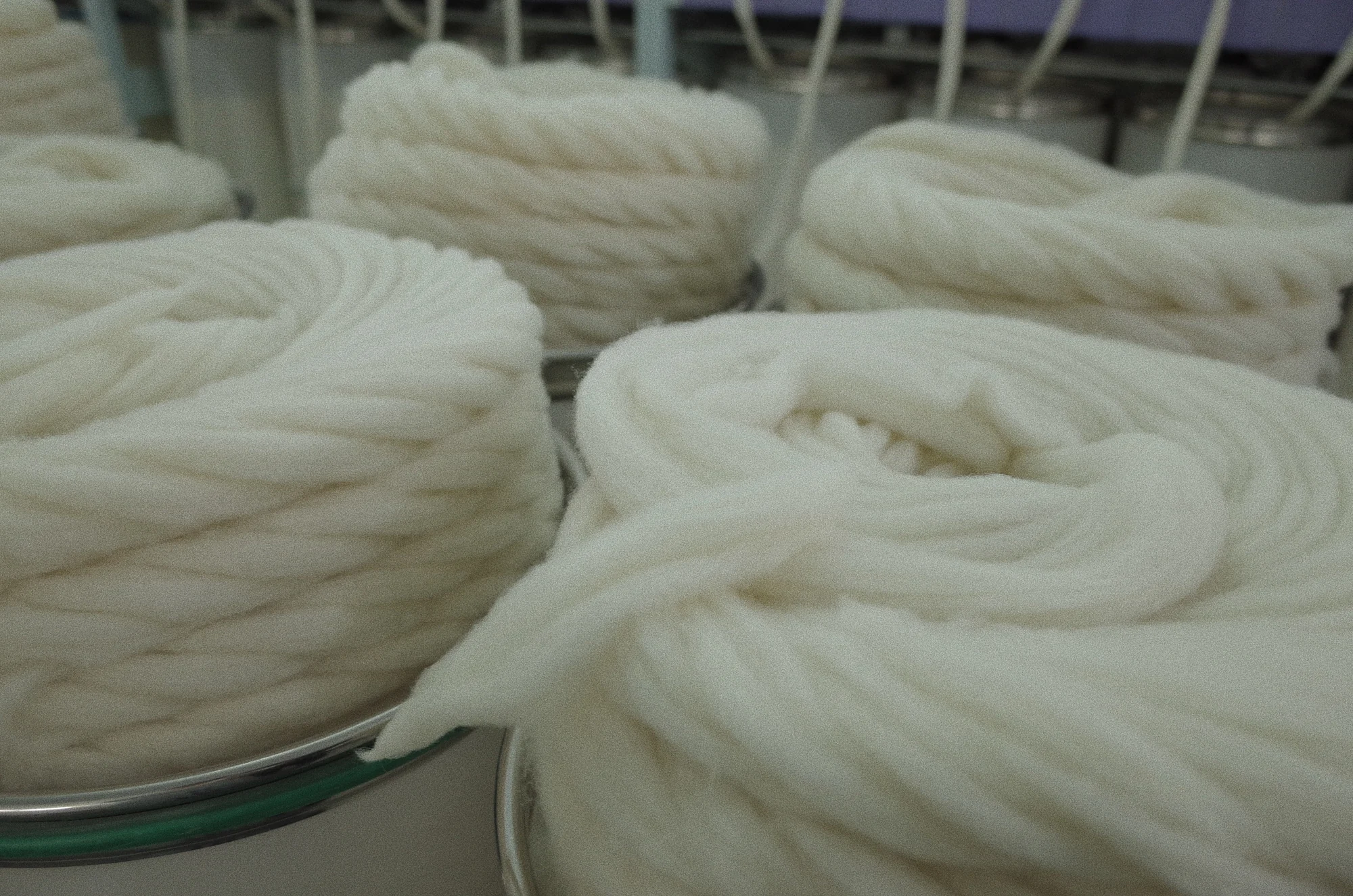 Prepared white fibre stored in spinning cans at Fred Textile