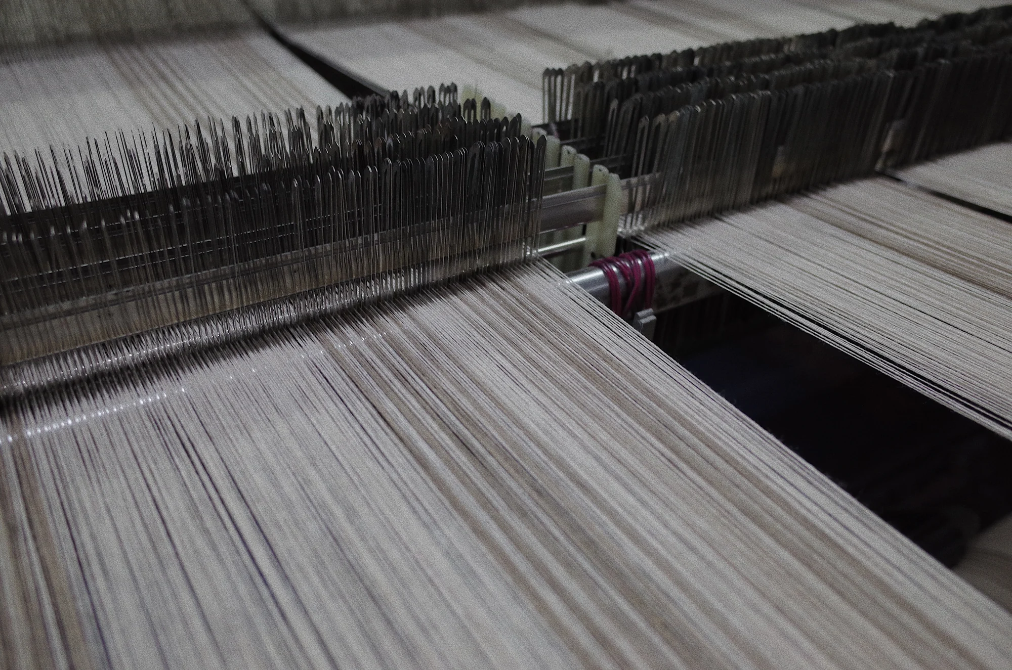 Warp yarn passing through the loom reed at Fred Textile