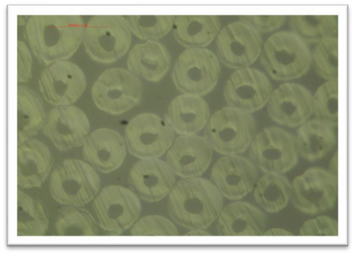 Standard polyester cross-section