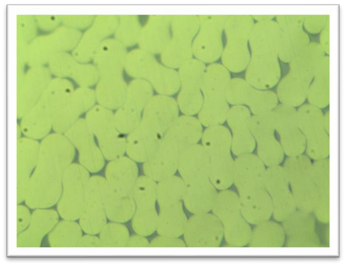 Standard polyester surface