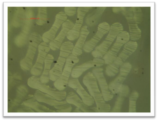 Wool-like polyester matte surface